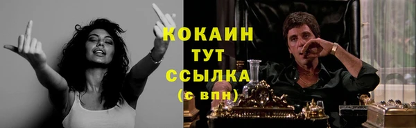 стафф Алексин